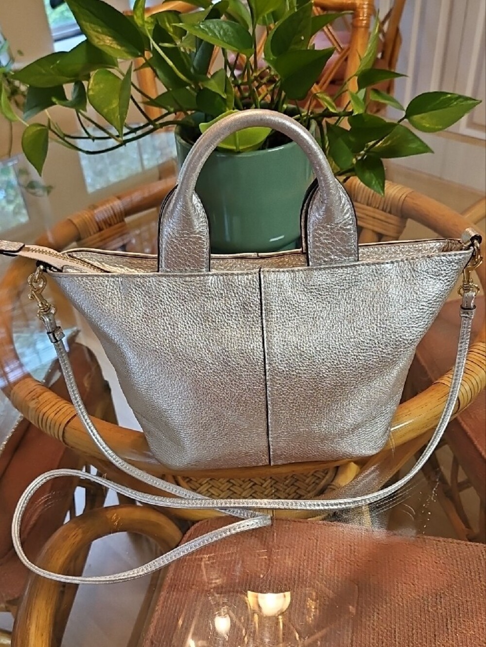 Banana Republic Silver 100% Leather Bag